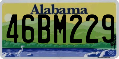 AL license plate 46BM229