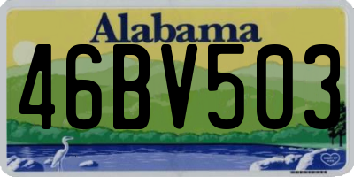 AL license plate 46BV503