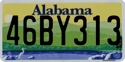 AL license plate 46BY313