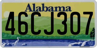 AL license plate 46CJ307