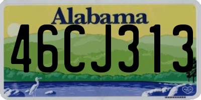 AL license plate 46CJ313