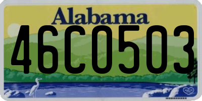 AL license plate 46CO503