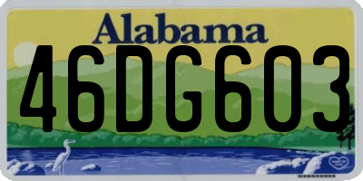 AL license plate 46DG603
