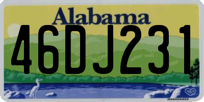AL license plate 46DJ231