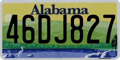 AL license plate 46DJ827