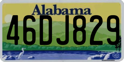 AL license plate 46DJ829
