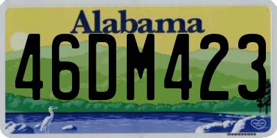 AL license plate 46DM423
