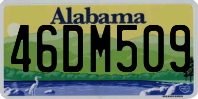 AL license plate 46DM509