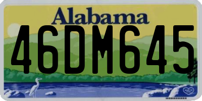AL license plate 46DM645