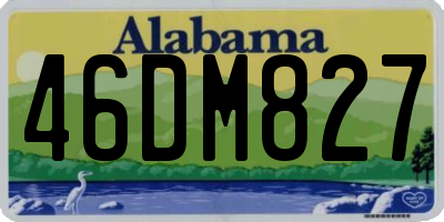 AL license plate 46DM827