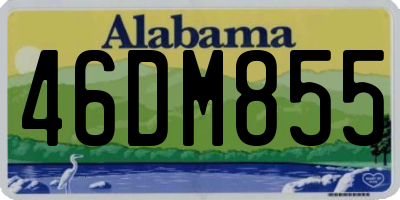 AL license plate 46DM855