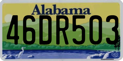 AL license plate 46DR503
