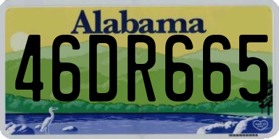 AL license plate 46DR665