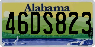 AL license plate 46DS823
