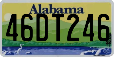 AL license plate 46DT246