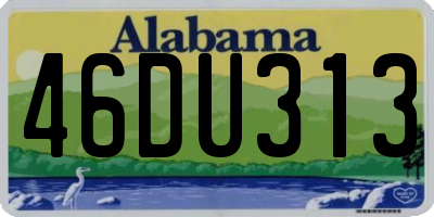 AL license plate 46DU313