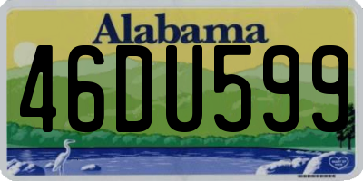 AL license plate 46DU599