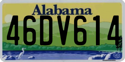 AL license plate 46DV614