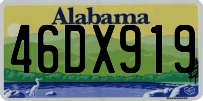 AL license plate 46DX919