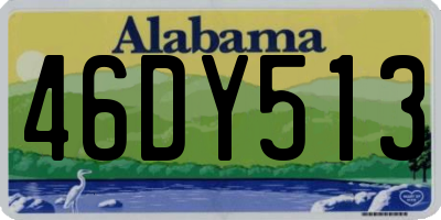 AL license plate 46DY513