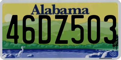 AL license plate 46DZ503