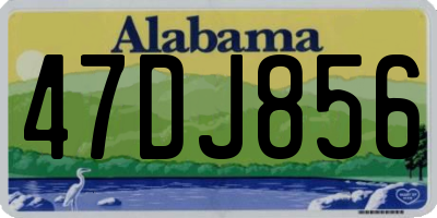 AL license plate 47DJ856