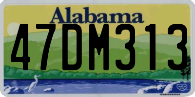 AL license plate 47DM313