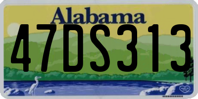 AL license plate 47DS313