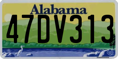 AL license plate 47DV313