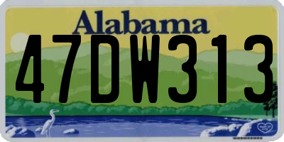 AL license plate 47DW313