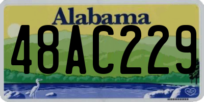 AL license plate 48AC229