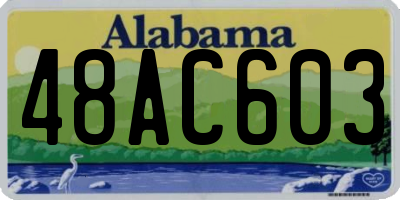 AL license plate 48AC603