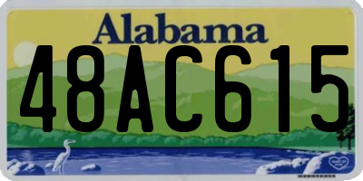 AL license plate 48AC615