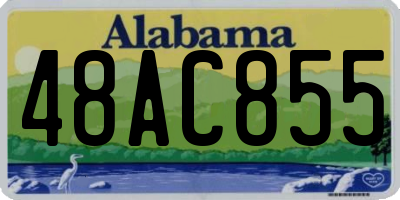 AL license plate 48AC855