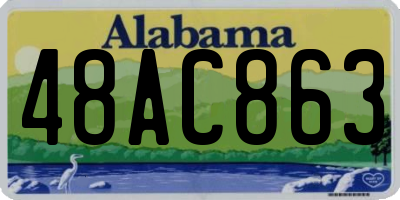 AL license plate 48AC863