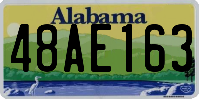 AL license plate 48AE163
