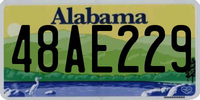 AL license plate 48AE229