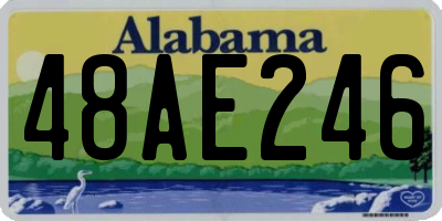 AL license plate 48AE246