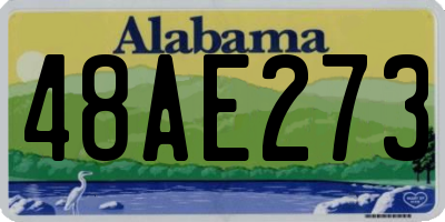 AL license plate 48AE273