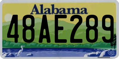 AL license plate 48AE289