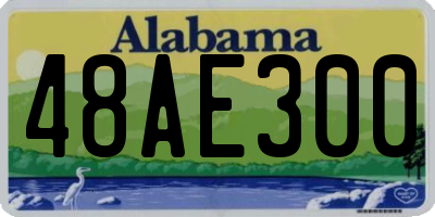 AL license plate 48AE300