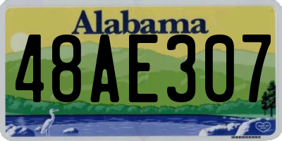 AL license plate 48AE307