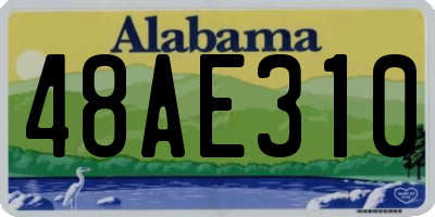 AL license plate 48AE310
