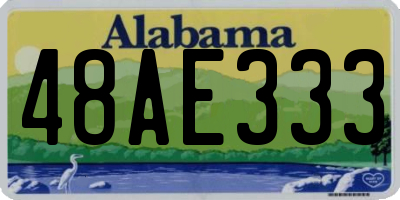 AL license plate 48AE333