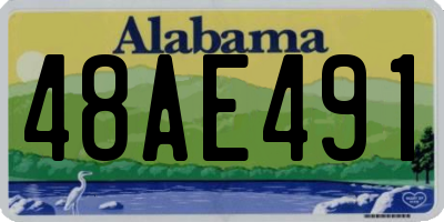 AL license plate 48AE491