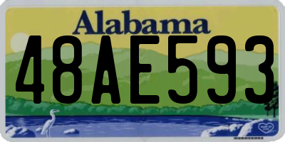 AL license plate 48AE593