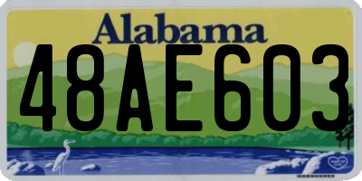 AL license plate 48AE603