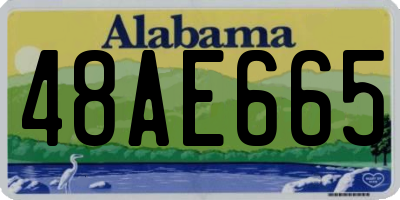 AL license plate 48AE665
