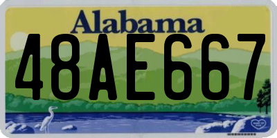 AL license plate 48AE667