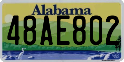 AL license plate 48AE802